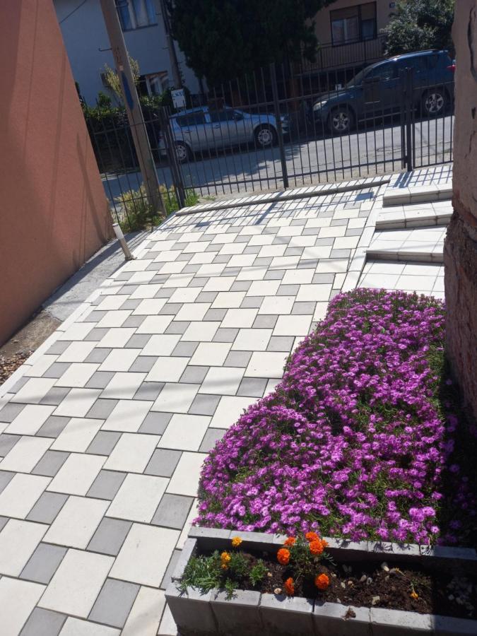 Leda Apartmani スメデレヴォ エクステリア 写真